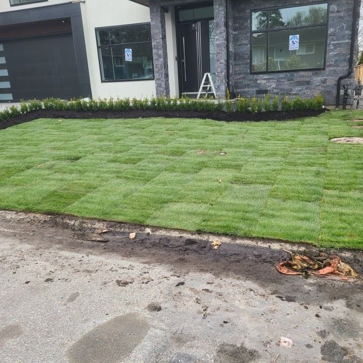 Fresh sod front lawn at a modern stone-clad home