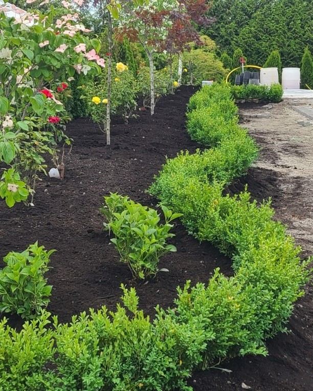 Lush planted garden beds with shrubs, roses and mulch