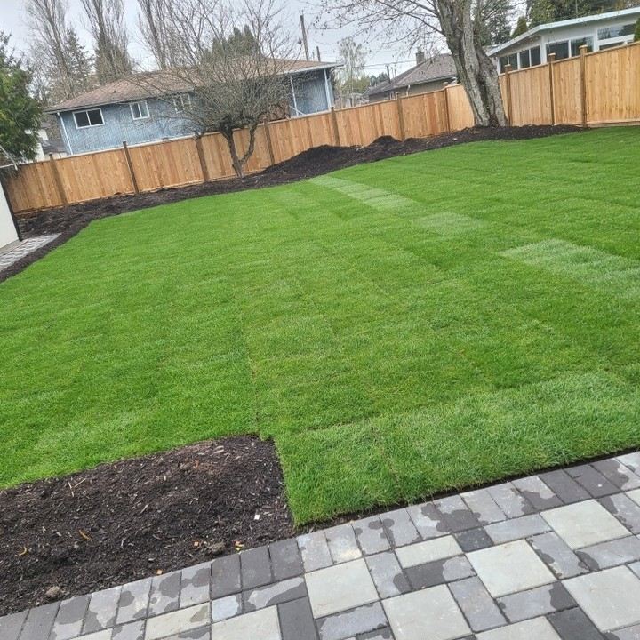 Freshly laid sod lawn with crisp mowing lines bordered by cedar fence